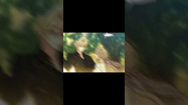 манга клип//девочка кокетка//