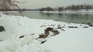 Москва Коломенское зима 2023