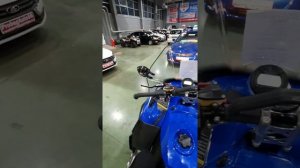 СНЕГОХОД ARCTIC CAT BEAR CAT 7000 XT. АВТОСАЛОН "ProbegAuto56". ТК АвтоМаксимум.