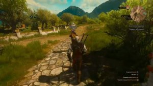 Ведьмак 3: Пропавший Цирюльник