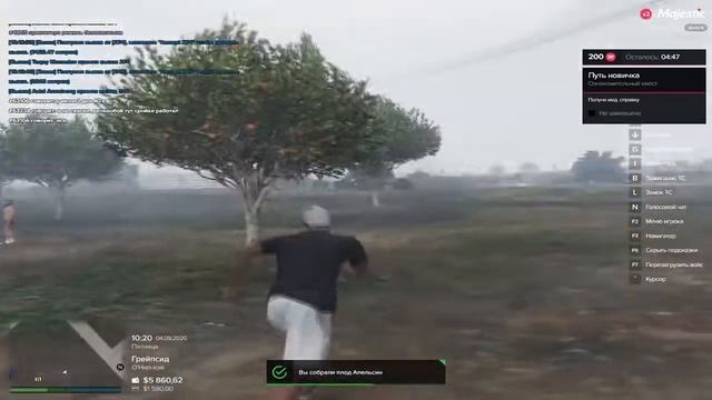 ПУТЬ БОМЖА на MAJESTIC RP ❖ СКОЛЬКО МОЖНО ЗАРАБОТАТЬ НА ФЕРМЕ ЗА ЧАС НОВИЧКУ ❖ GTA 5 RP RAGE MP