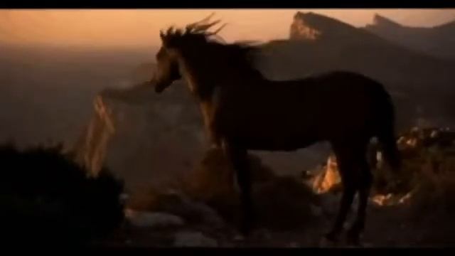 одой о рома 2020new смотреть онлайн