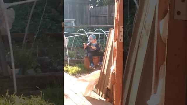 Как заготавливать дрова на зиму. смотреть онлайн