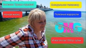 ВИТЯЗЕВО - ОШАЛЕТЬ. Турция ОТДЫХАЕТ! Самый красивый пляж в Анапе