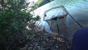 Рыбалка в Крыму.Изобильненское Водохр.(ПОКА ЛОВИМ ПЛОТВУ, ТОЛСТОЛОБ ПЛАВАЕТ БУКВАЛЬНО ПОД НОГАМИ)