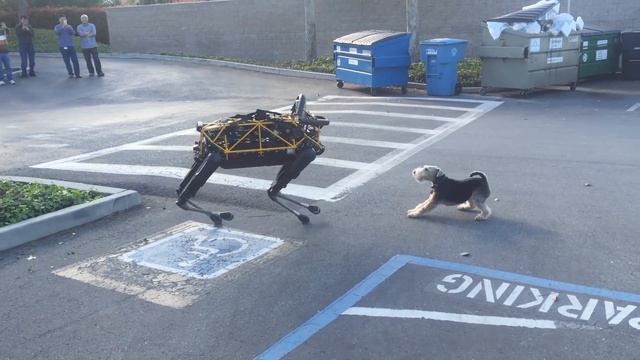 Fido vs Spot — Animal vs Robot смотреть онлайн