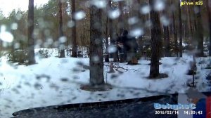 Осенью,летом,весной и зимой Песня