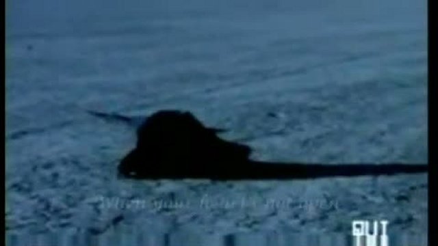 Прибытие. Часть 10