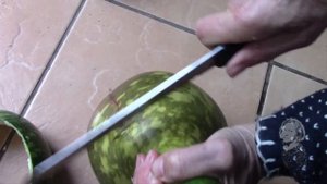 ПОЧЕМУ ЗАГНИВАЮТ ТЫКВОЧКИ?  Что предпринять!?