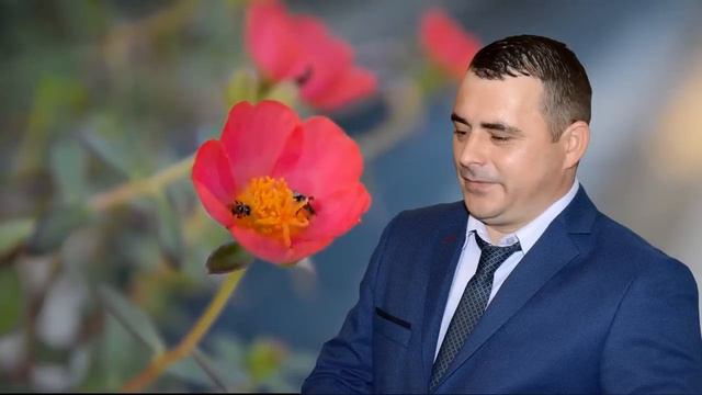 SORINEL DE LA PLOPENI - ARE PASAREA DOI PUI NOU 2018 смотреть онлайн