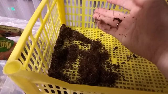 Подготовка грунта и семян перца к посадке. смотреть онлайн