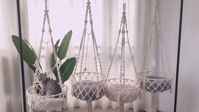 Гамак для котейки! смотреть онлайн