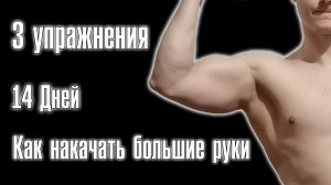 Всего 3 Упражнения что бы получить Мощные руки | Как накачать руки | Домашние тренировки