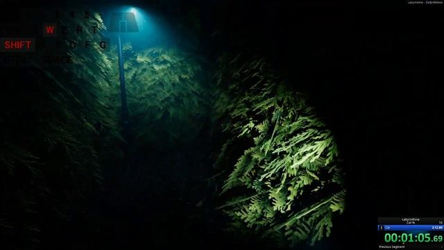 Labyrinthine Cat% Speedrun 2:12 смотреть онлайн