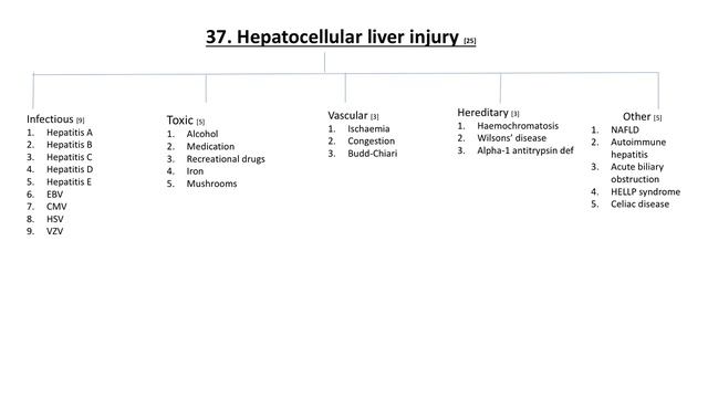 Algorithm 37 : Hepatocellular liver injury смотреть онлайн
