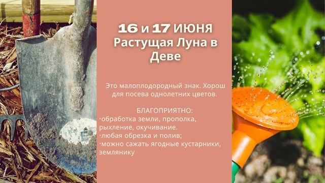 ИЮНЬ 2021 - ЛУННЫЙ КАЛЕНДАРЬ ОГОРОДНИКА и САДОВОДА по дням. Что и когда делать по Луне? смотреть онлайн