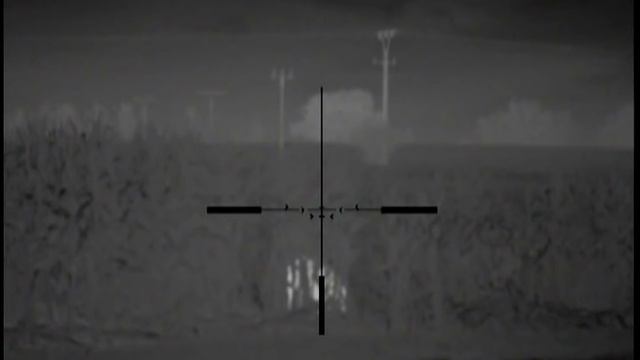 Pulsar Apex XD50 - wild boar - Kapitaler Keiler 130kg+ смотреть онлайн