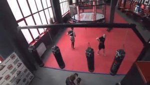 МОПС БОЙ С МАРТЫНЕНКО! МОПС В ПРОФЕССИОНАЛЬНОМ ЗАЛЕ MMA