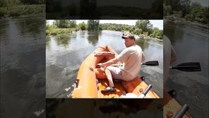 Неубиваемая ЛАС 5