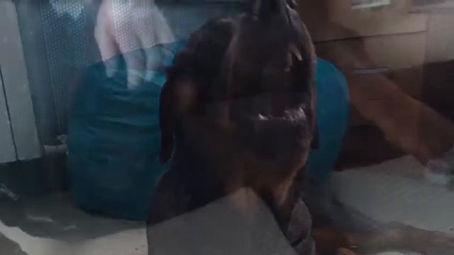 Первые фото смотреть онлайн