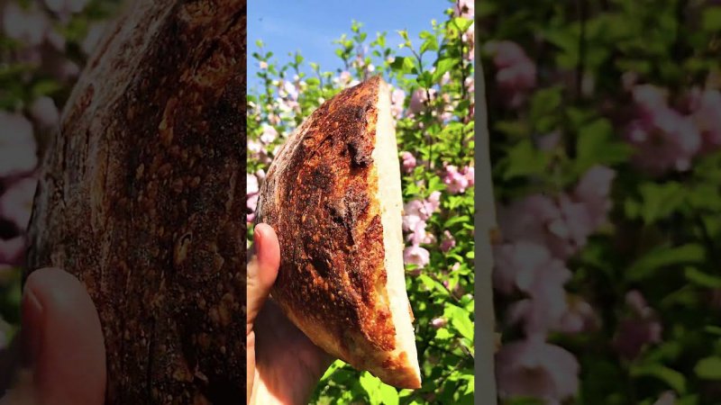 Sourdough whole grain bread in 1 day! Цельно зерновой хлеб на закваске за 1 день!