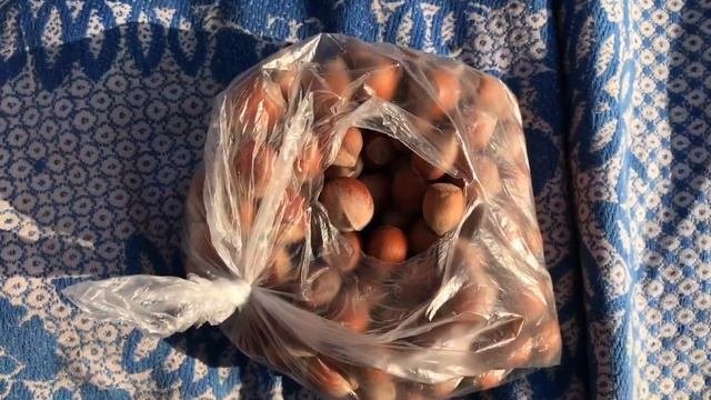 Отдых в Сочи. 10k ПРОСМОТРОВ=ДОБЕРМАН!!!