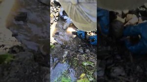 Моем золото в горном ручье. Испытание минидраги и эжектора ДИПСИС.