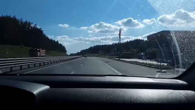Везём щенков курьеру для доставки. Правила перевоза животных .