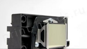 Печатающая головка Epson DX5 F187000 | print-head.ru