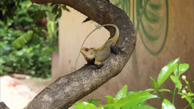 Canon 1300D Sample Photos in HD смотреть онлайн