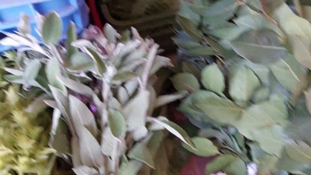 Рынок Лимассола 6.05.2023 смотреть онлайн