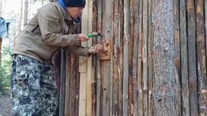 Строительство ТАЁЖНОЙ ИЗБЫ. От первого бревна, до НОВОСЕЛЬЯ. DIY.
