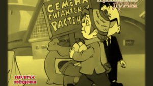 Репортаж Звёздочки