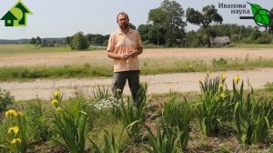 САМОЕ ВРЕМЯ! ЧТО ПОСЕЯТЬ и ПОСАДИТЬ в ИЮНЕ-ИЮЛЕ? А МНОГО ЧТО! И УРОЖАЙ БУДЕТ ОТЛИЧНЫЙ!