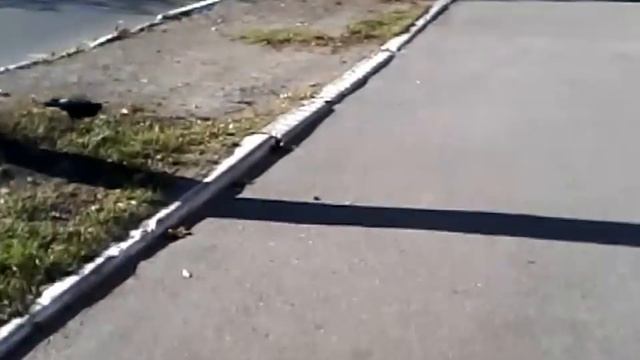 Здравствуй, мой город смотреть онлайн