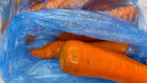 Как сохранить морковь свежей до нового урожая? Легко.