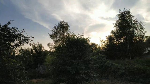 деревянный меч смотреть онлайн