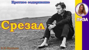 Краткое содержание Срезал. Шукшин В. М. Пересказ рассказа за 5 минут