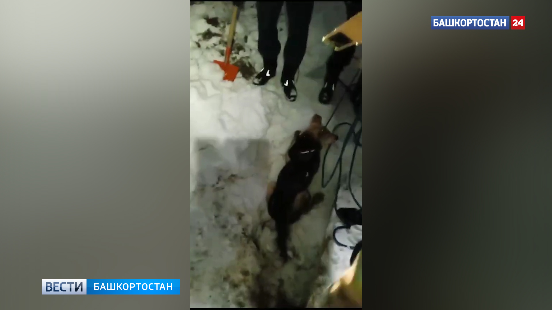 худжанд уфа прямой. авиабилеты худжанд домодедово s7. авиабилеты москва худжанд прямой рейс s7. автобус ташкент москва ташкент автобус. худжанд уфа прямой.