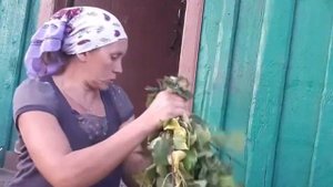 Лакомство для коз. Заготовка веников.