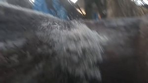 Как хранят свекольный жом в украинской деревне