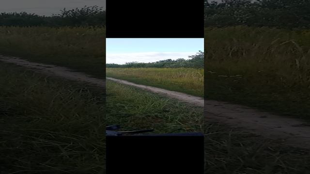 покатушки*1 прокатился на велике