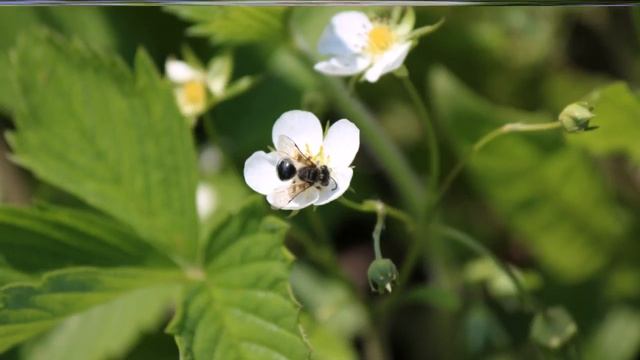 Лето Ишимбай смотреть онлайн
