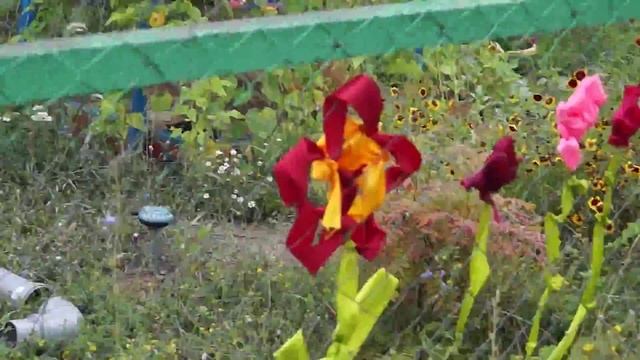 Украшение лентами/Совместный проект летние игры на улице смотреть онлайн