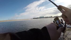 Тест SHIMANO EXSENCE S900MH/R "Wild Contact