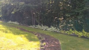 Секторный дождеватель Пингвин. Обзор