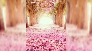 Ма делха кирара дог Ринат Каримов