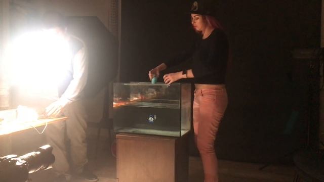 Как снять краску в аквариуме? Снимаем замедленное видео! смотреть онлайн