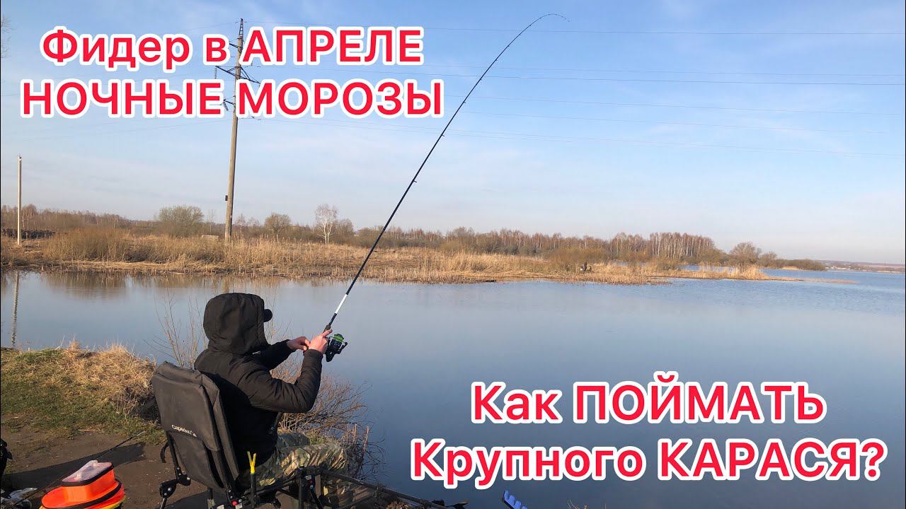 ФИДЕР в Апреле / НОЧНЫЕ МОРОЗЫ / Рыбалка на КРУПНОГО КАРАСЯ смотреть онлайн