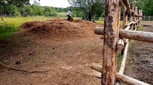 11 июня. Поездка на конюшню. Первая тренировка верховой езды.